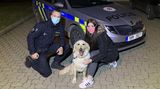 Policistu tahali lanem z bahna, když zachraňoval na Brněnsku psa