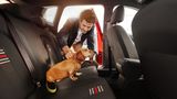 Se psem v autě jsme podle studie opatrnější řidiči
