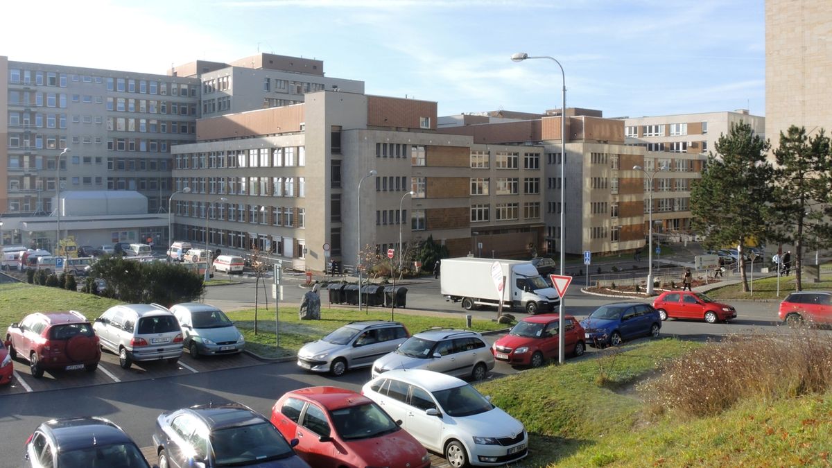 Seniorka v nemocnici v Plzni rdousila polštářem 93letou spolupacientku, ta zemřela