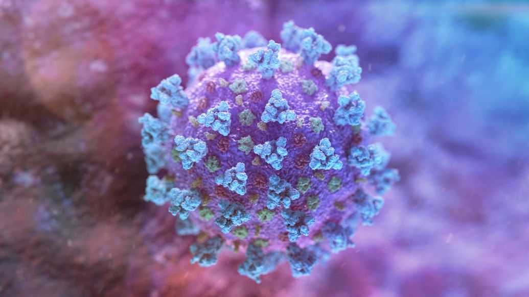 Nová protilátka zcela blokuje množení koronavirů