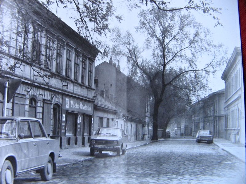 Dobová fotografie jilmu v tehdejší ulici Na Zátorách v roce 1978. 