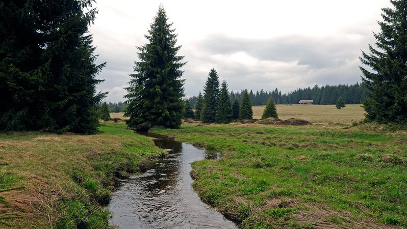 Následující dva týdny se moc neohřejeme, oteplení je v nedohlednu