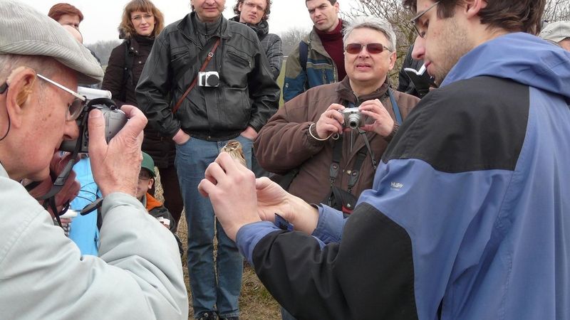Vedoucí exkurze Jaroslav Koleček prezentuje strnada rákosního při ukázce kroužkování ptáků.