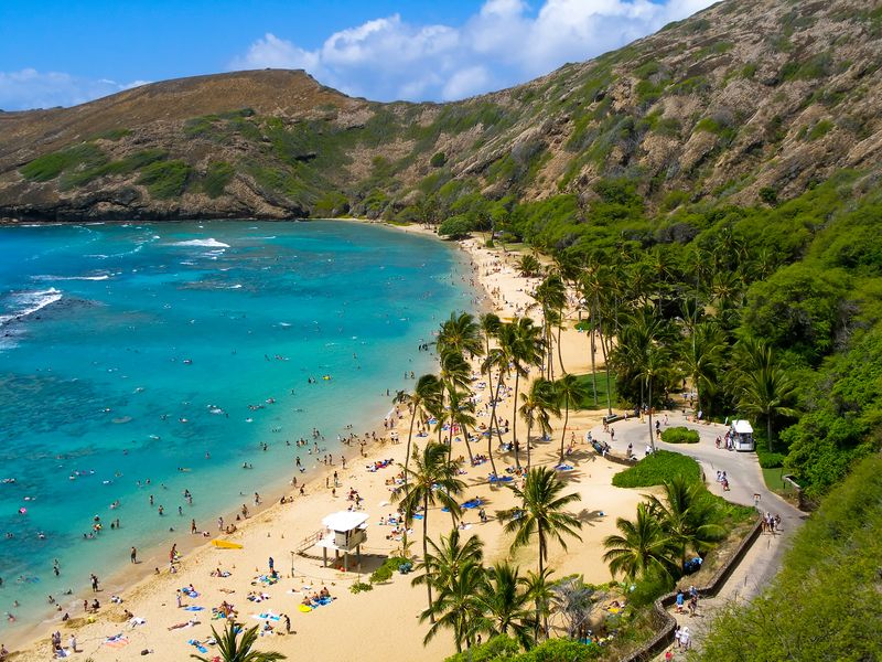 Havajské pláže a kopce jsou mezi filmaři oblíbené.