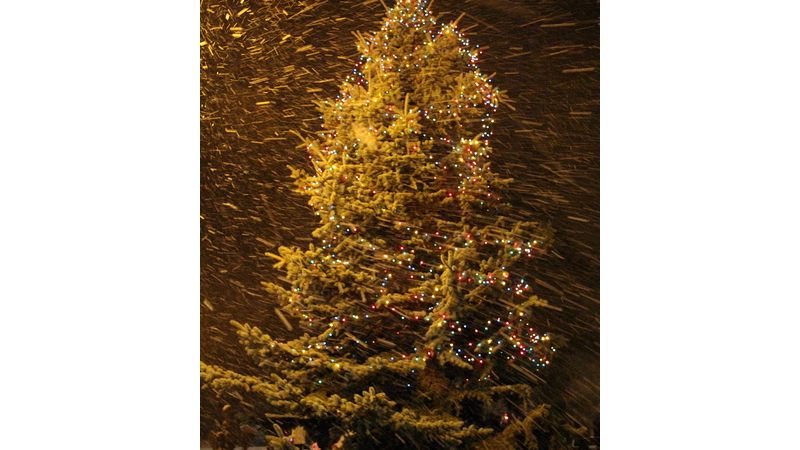Pestrobarevná světýlka musela bojovat se záplavou sněhových vloček, přesto rozsvícený strom přinesl mnoho radosti