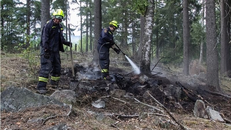 Lesní požáry dokáží napáchat ohromné škody.