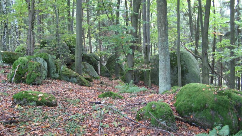 Shluky velkých kamenů v lese u Žinkov