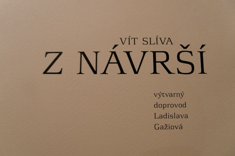 Publikace tří básní Víta Slívy.
Dům umění v Ostravě.
20.11.2012