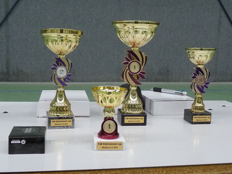 turnaj Českého poháru 2013, kategorie ČP 12