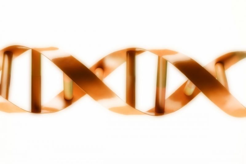 Šroubovice DNA