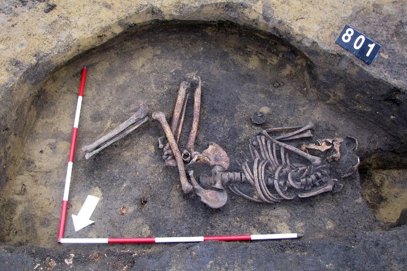 Zachovalá kostra muže z doby bronzové z malenovického naleziště