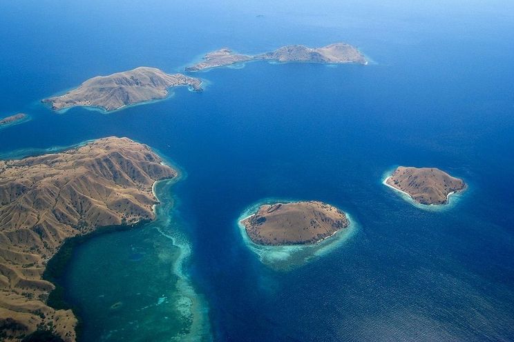 Kolem ostrova Komodo je spousta malých ostrůvků. Pro varany není problém na ně přeplavat