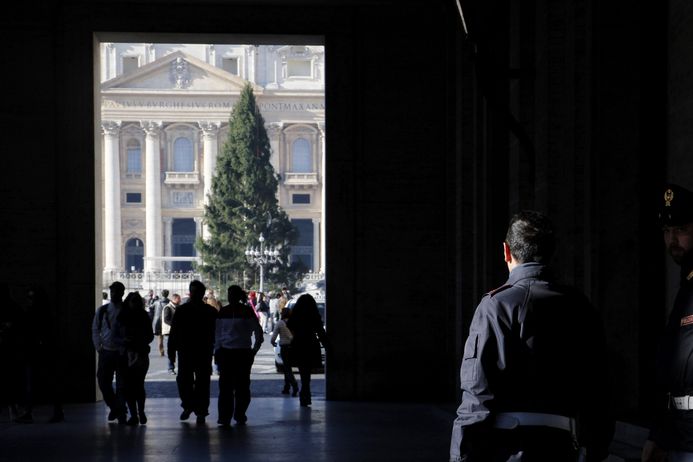 Vánoční strom na Svatopetrském náměstí ve Vatikánu se v papežském státě postaral o lehký zmatek. 