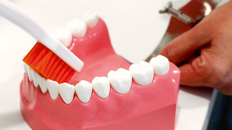 Práce dentální hygienistky spočívá mimo jiné v tom, že klientovi vysvětlí, jak si správně vyčistit zuby.