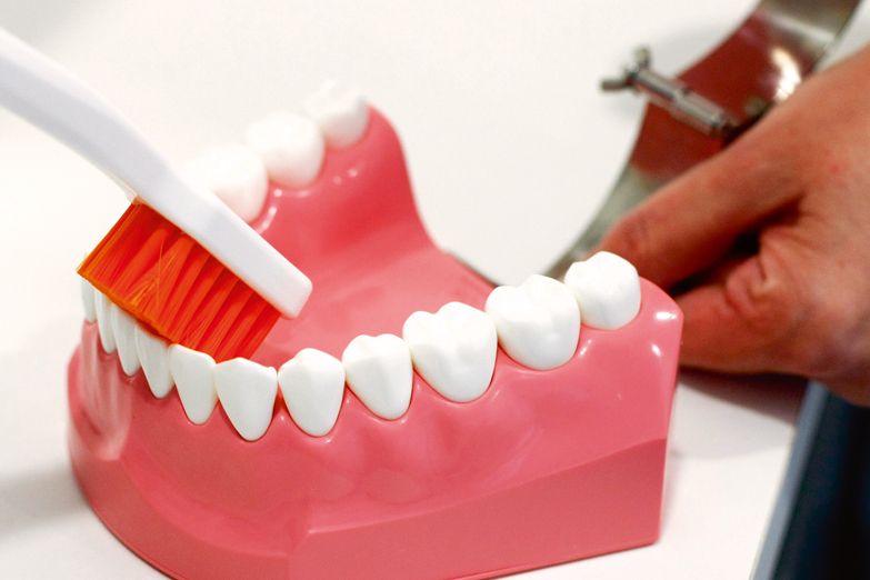Práce dentální hygienistky spočívá mimo jiné v tom, že klientovi vysvětlí, jak si správně vyčistit zuby.