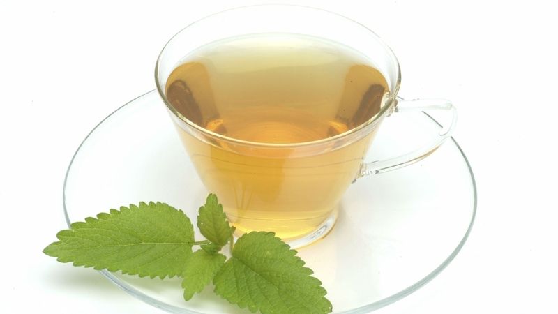 Meduňkový čaj