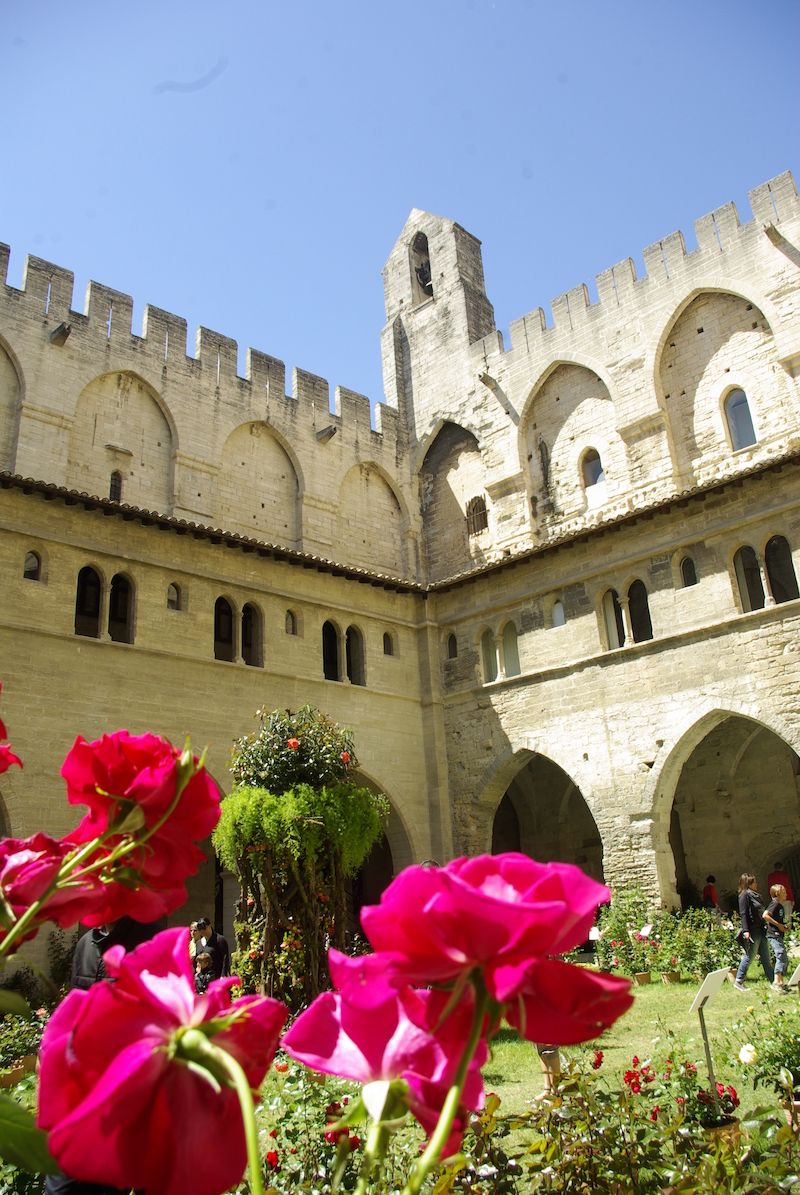 I pozdní léto a začátek podzimu jsou na návštěvu Avignonu ideální. 