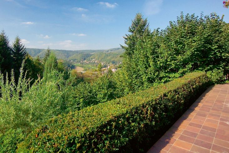 Z terasy se přes živé ploty z hlohyně a lísek nabízí úžasný výhled na lesnaté údolí s řekou Berounkou. 