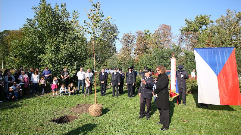 Slavnostní výsadba lípy republiky v Bedihošti na Prostějovsku proběhla již 28. září 2018. 