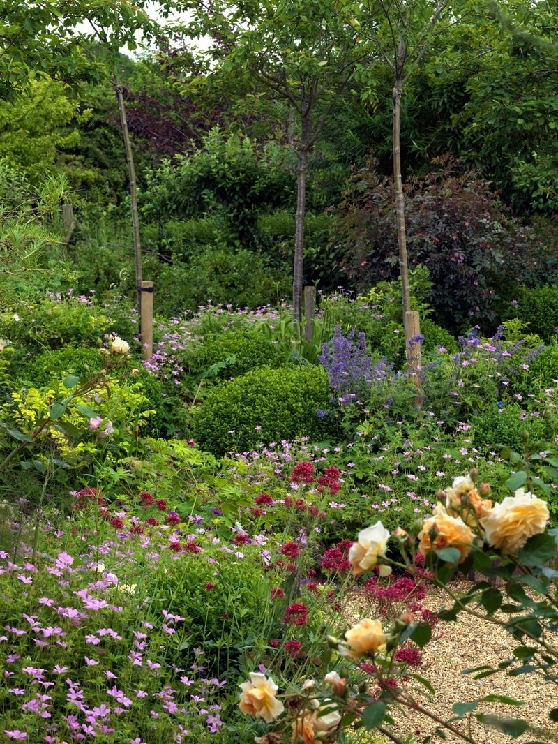 Kimina zahrada je charakteristická bujnou vegetací a velice přirozeným, až skromným vzhledem bez okázalých útvarů.