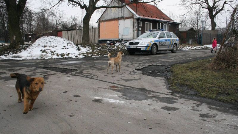 Ostravskou osadu Bedřiška hlídají nepřetržitě policejní hlídky.