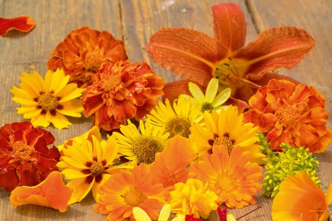 Žluté, oranžové a červené květy ztělesňují žhavou atmosféru. 