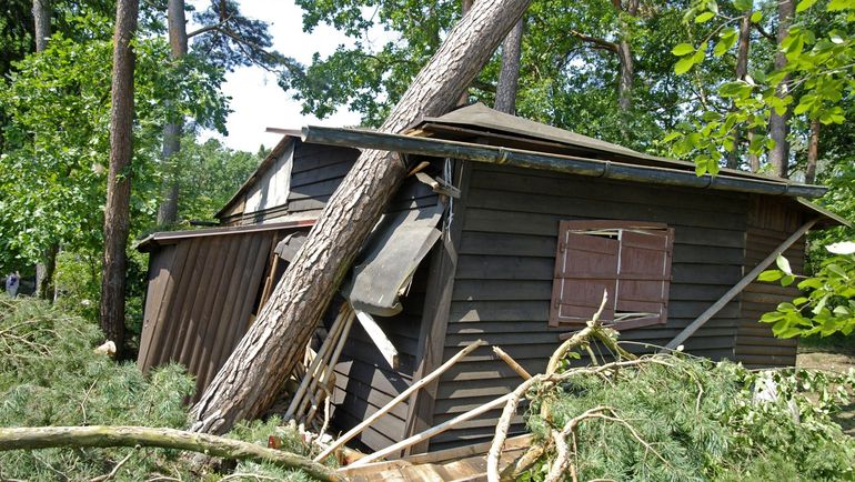 Některým lidem padající stromy zcela zničily chaty a automobily.
