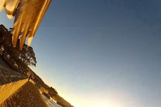 BEZ KOMENTÁŘE: Racek ukradl turistce kameru a natočil z výšky pobřeží u San Francisca