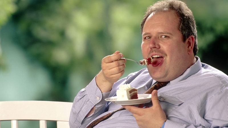 Nadměrné množství tučného a kalorického jídla podle vědců ničí mozkové buňky, které mají za úkol regulovat chuť k jídlu. 