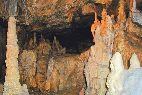 Mladečské jeskyně nabízejí ke zhlédnutí i nádhernou výzdobu.