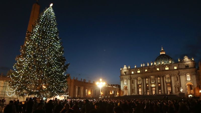Vánoční strom na Svatopetrském náměstí ve Vatikánu 