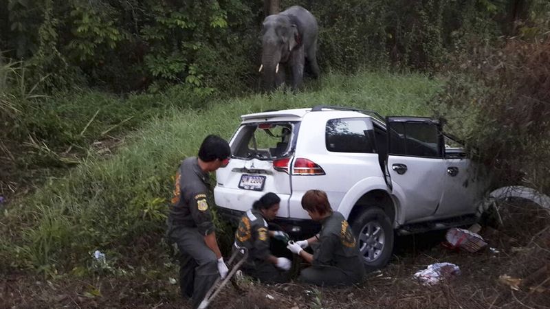Záchranáři u vozidla, které narazilo do slona.