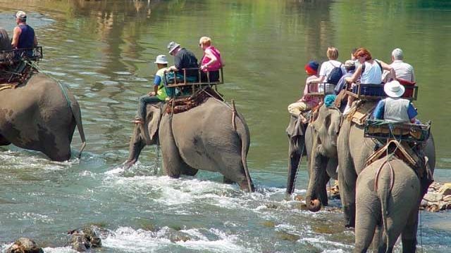 Během treku na slonech se budete brodit pralesem i řekou.