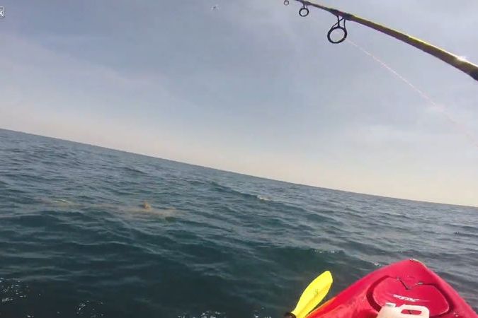 BEZ KOMENTÁŘE: Žralok vozil rybáře po moři