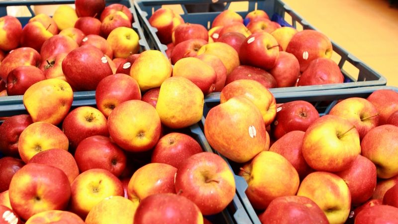 Jablka za 6 korun, brambory za 15. U farmářů je levnější ovoce i zelenina