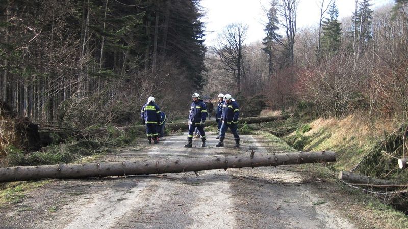 Hasiči odstraňují popadané stromy na Vsetínsku. 