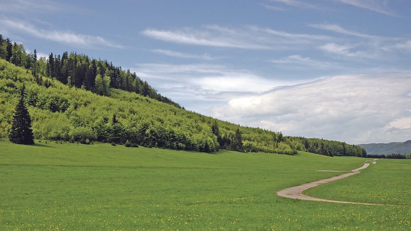 Národní park Muránská planina v západní části Slovenského rudohoří má rozlohu 21 931 hektarů a jeho podstatnou část tvoří krasová plošina. 