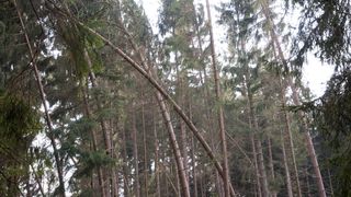 Meteorologové vydali varování před silným větrem. Nárazy mohou dosahovat až 90 km/h