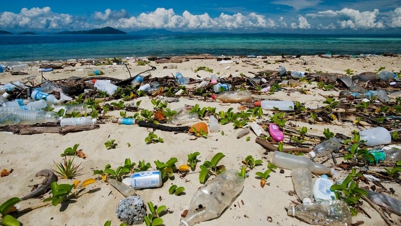 Haldu odpadků v moři tvoří pozůstatky po turistech na pláži.