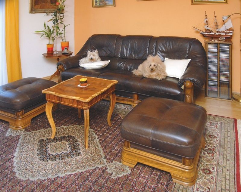 S pohodlím kožené sedačky jsou spokojeni i spolubydlící psi.