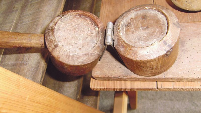 Za návštěvu určitě stojí i loštické Muzeum olomouckých tvarůžků. Prohlédnout si zde můžete třeba dřevěné formy, které sloužily k jejich výrobě, nebo původní odstředivku na mléko od firmy Škoda. 