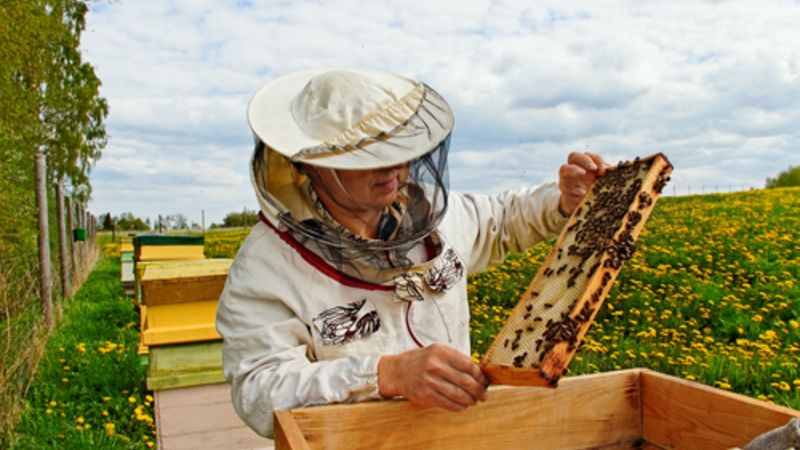 Teoretické přiblížení práce včelaře bylo zajímavým novým poznatkem pro členy RC Srdíčka bez rozdílu věku.