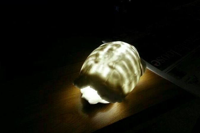 Lampička ve tvaru želvího krunýře vytvořeného technologií 3D tisku
