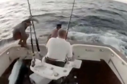 BEZ KOMENTÁŘE: Marlín se vymrštil na palubu lodi, rybář vyskočil ven