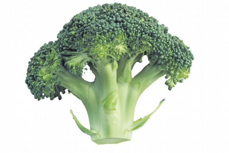 Hlavičky brokolice si podrží své zdraví prospěšné vlastnosti jen lehce povařené v páře.
