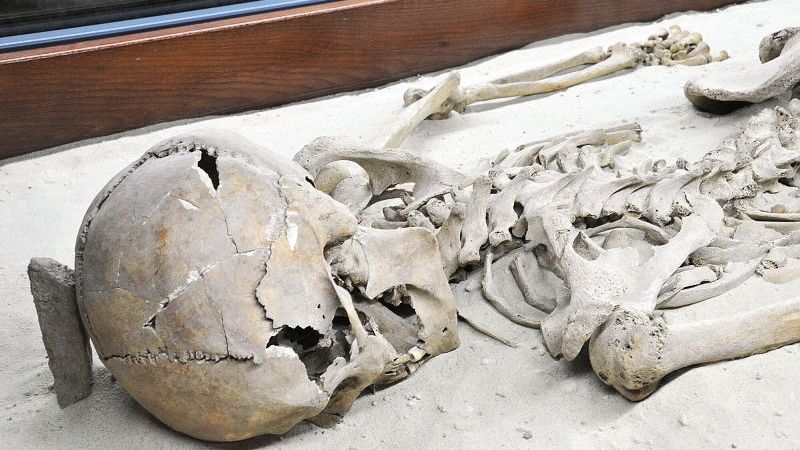 Nová výstava Brány Trojzemí v Hrádku nad Nisou je plná lidských kostí.