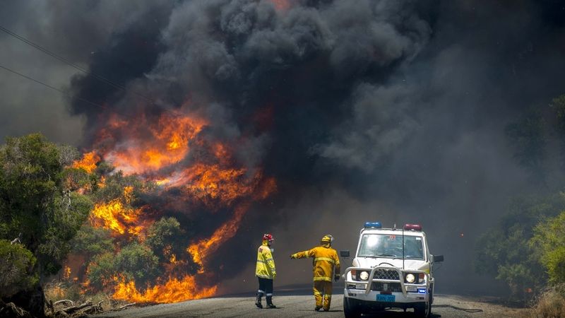 Austrlaští hasiči u hořících keřů 