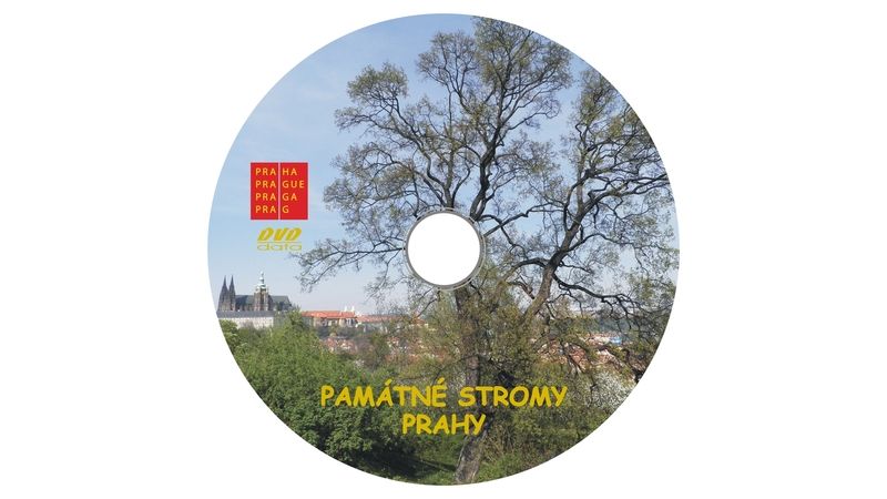 DVD Památné stromy Prahy prezentuje zelené velikány metropole a podává o nich podrobné informace. 
