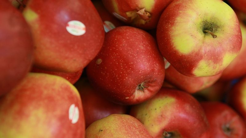  Jablka budou oslavovat na Hostětíně i zámku Nebílovy.