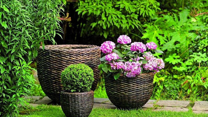 Pletené květináče od Asa Selection jsou vhodným doplňkem každé terasy či zahrady.